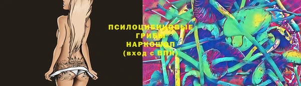 твердый Каменногорск